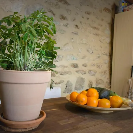 Apartment Beautiful With Terrace Near Bastille