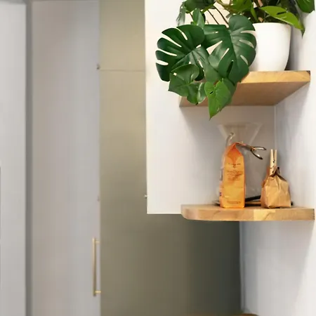 Minimalist Haussmannian 11 Apartment Paris