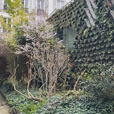 Beautifull Bb In Belleville Bed & Breakfast Paris