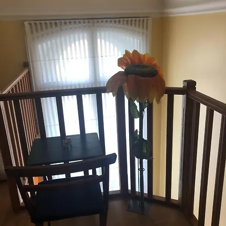 Luxury In Apartment