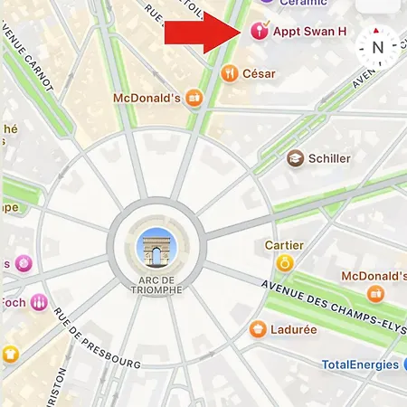 Swan House Champs Elysee * Paris