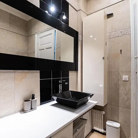 Champs Elysees Apartment