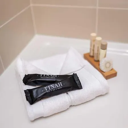 Tinah Paris, Champs Elysees Otel 2*