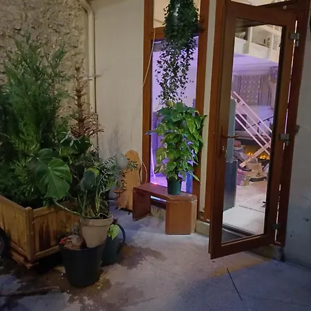Boheme Dans Le 5e Apartment