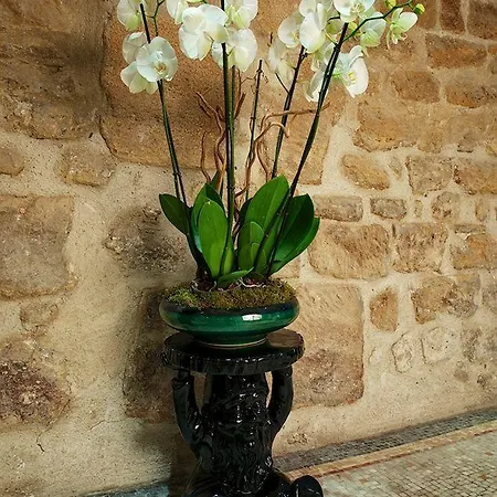 Le Clos De Notre Dame