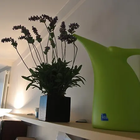 Appartement Studio Rue Des Tournelles