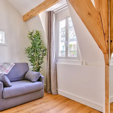 Luxury At Notre Dame Apartment Paris