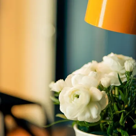 Daval Hotel