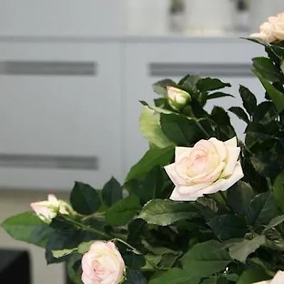 호텔 느무르 파리