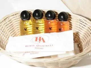 Hotel De La Place Des Alpes Paris