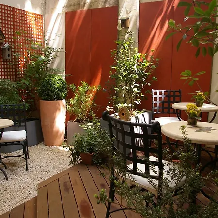 D'albion Paris