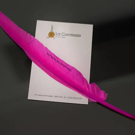 Hotel La Comtesse Paris