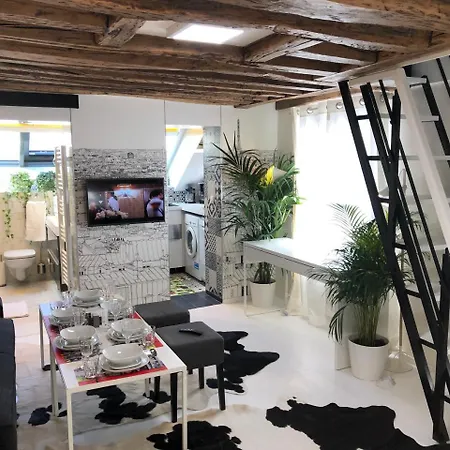 Les Patios Du Marais 2 Appartement