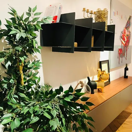 Appartement 21a Marechal Foch Avenue Champs-elysees *