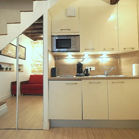Louvre Parisian Duplex Paris