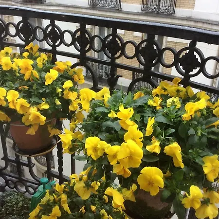 Auteuil Passy Paris