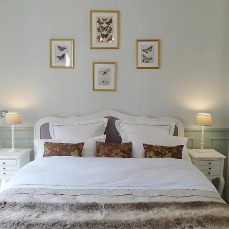 לינה וארוחת בוקר D : Louvre Elegant 3*