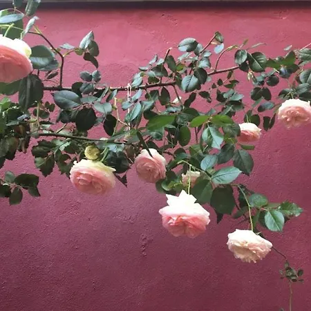 Bed and breakfast La Maison Rouge