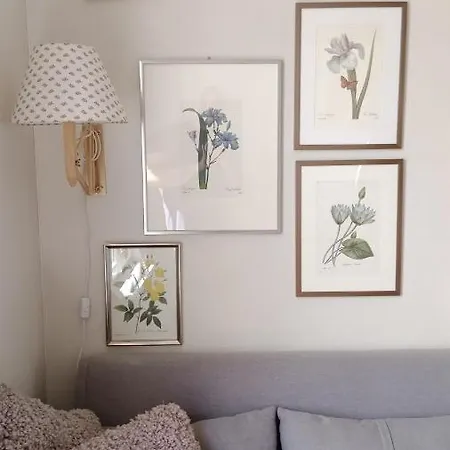 Authentic House Small, Bright And Calm Daire *