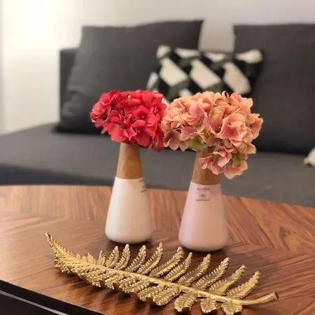 In The Heart Of The Marais With Air Conditioning Apartment