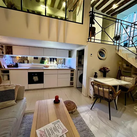 Apartment Plein Coeur De : Duplex A Bastille