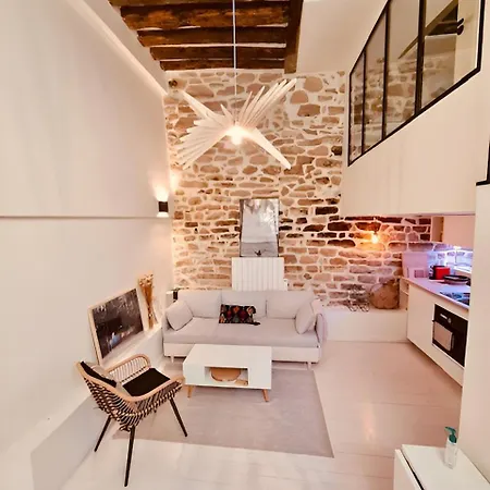 Apartment Plein Coeur De : Duplex A Bastille *