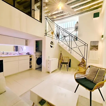 Apartment Plein Coeur De : Duplex A Bastille