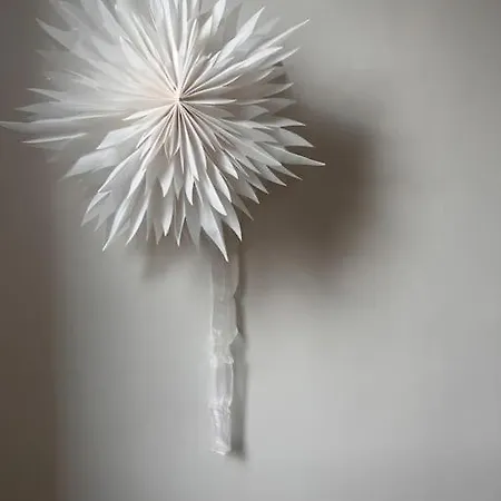 Apartamento Un Fabuleux Decor Pour Un Chaleureux