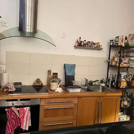 Large Parisian Duplex Pensión *