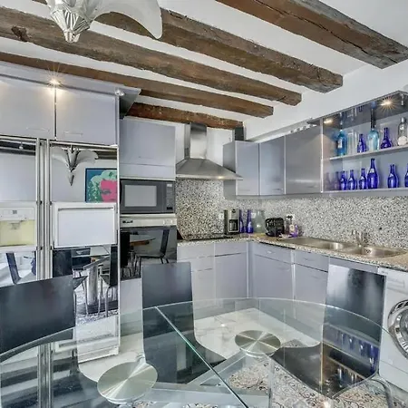 Louvre Terrace Apartment