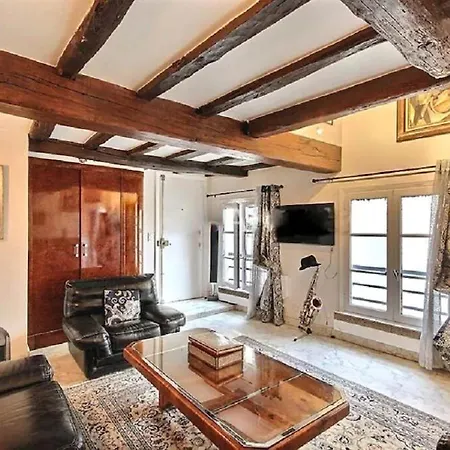 Louvre Terrace Apartment
