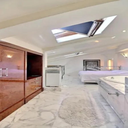 Louvre Terrace Apartment