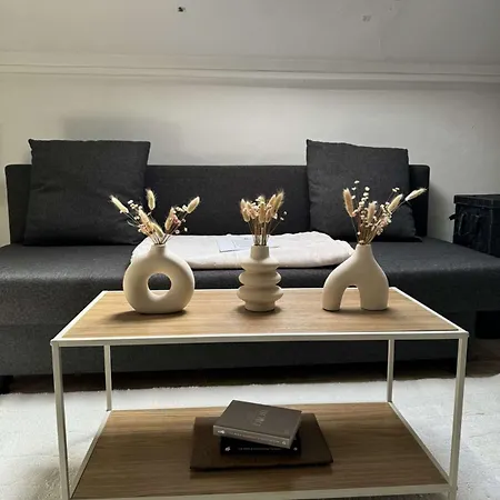 Cosy- Centre Paris
