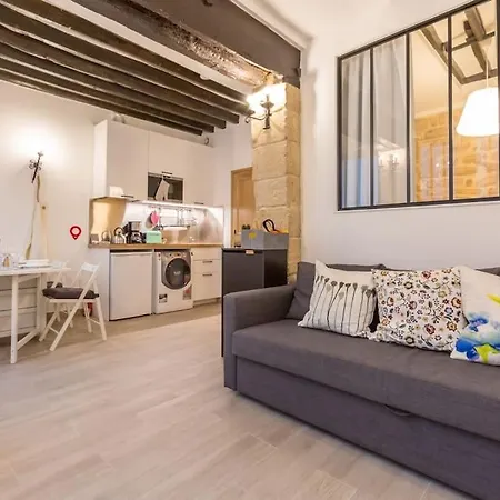 Beautiful In Louvre Museum Apartment Paris