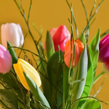 Appartement Des Tulipes In Paris