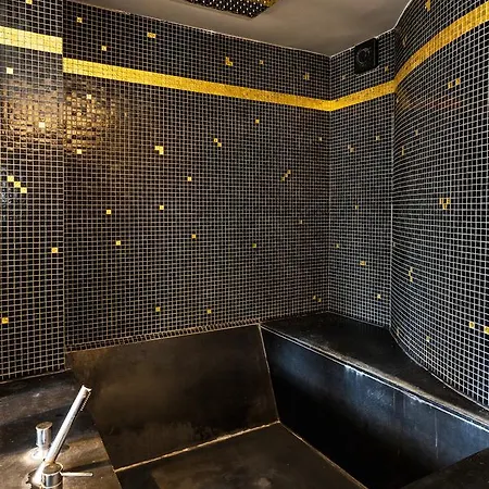 Private Penthouse - Champs Elysees - Arc De Triomphe Apartment Paris