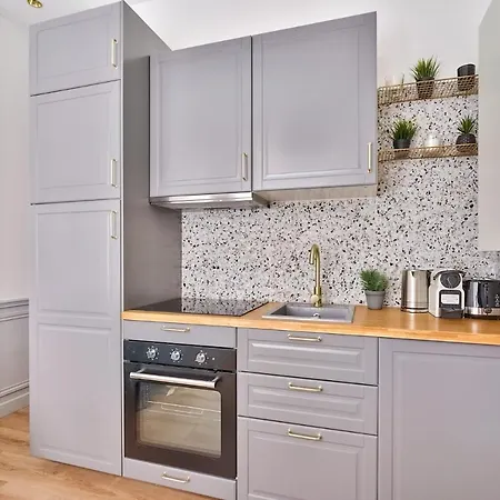 Newly Renovated ! Stunning 2br In The Heart Of 15 Apartamento Paris
