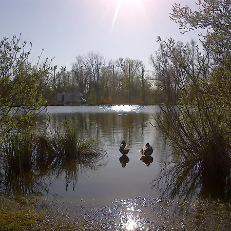 Camping Du Vivier Aux Carpes Campsite *