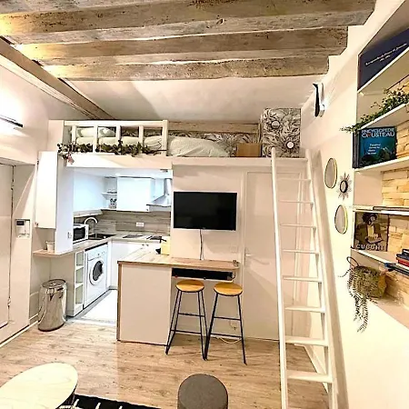 Loft Augustins פריז