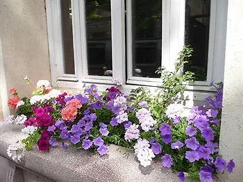 Du Parc Montsouris Hotell Paris