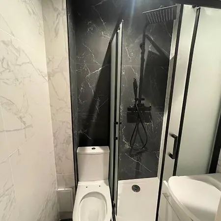 Studette Cosy Entierement Renovee Appartement *