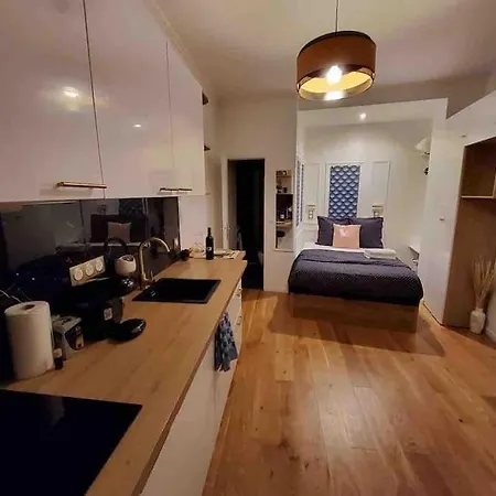 Du Theatre Rez De Chaussee Appartement Paris