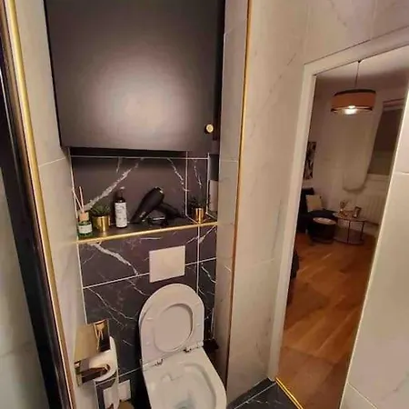 Du Theatre Rez De Chaussee Appartement Paris