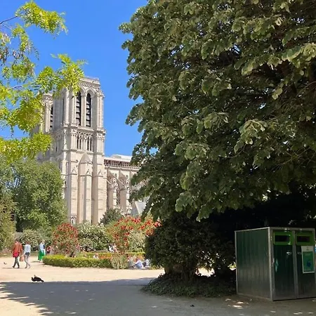 Serenity, Meditation At Notre Dame Paryż