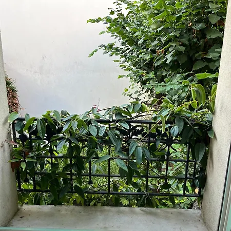 La D'auteuil