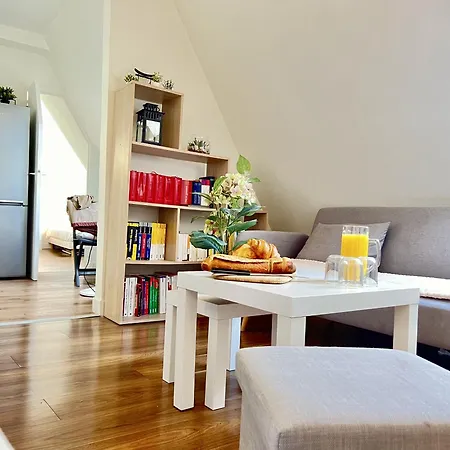 Apartamento Charme Parisien - Sous Les Toits De A Opera *