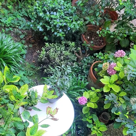 A 20eme Avec Un Petit Jardin Frühstückspension