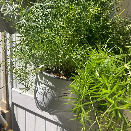 Belle Avec Acces A Terrasse París