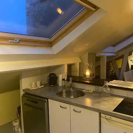 Διαμέρισμα Duplex Avec Vue Sur Les Toits De Expo Porte De Versailles Παρίσι