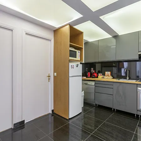 Appartement élysées *